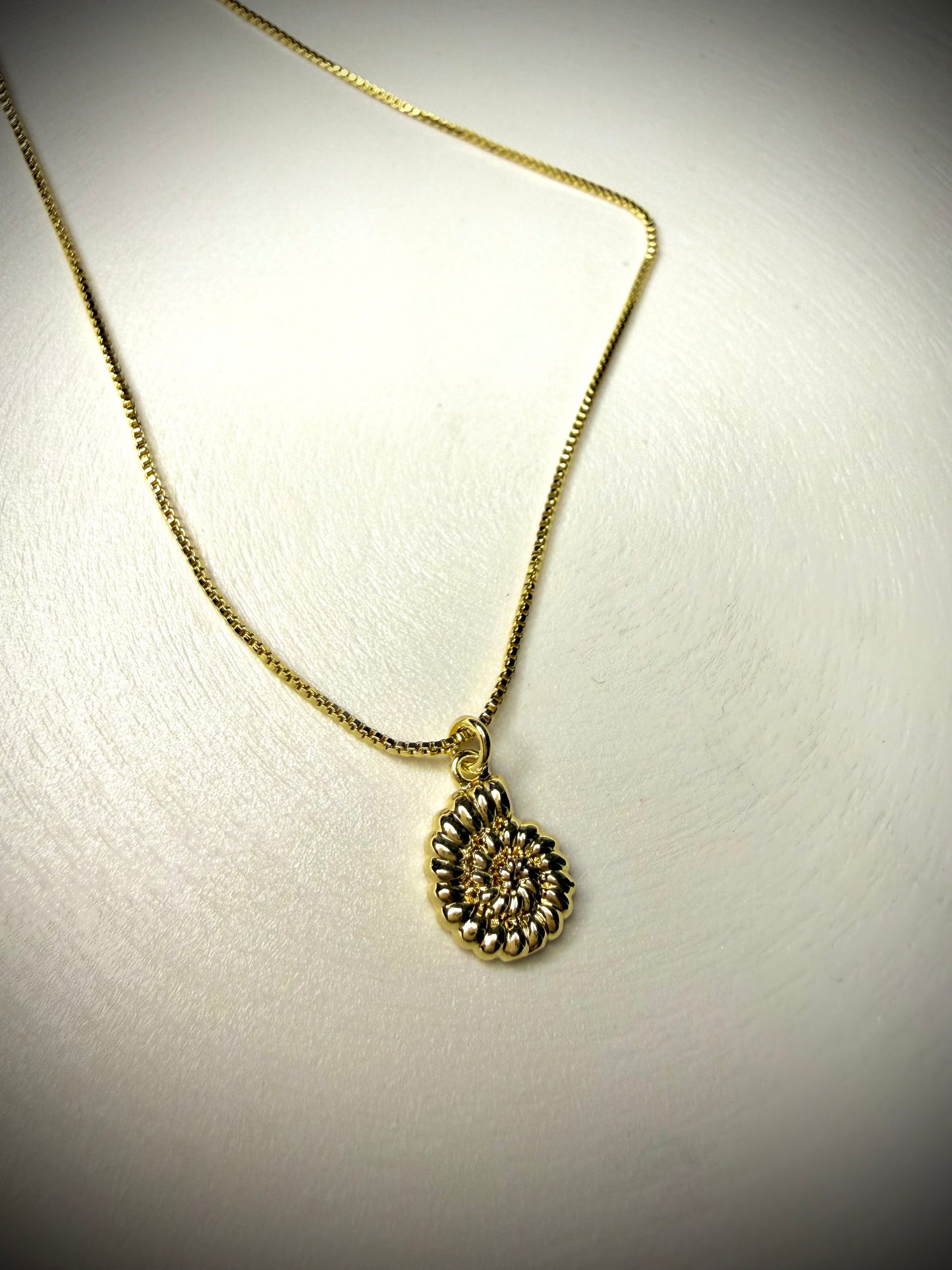 Collar Concha Dorada (Baño de Oro 18K)