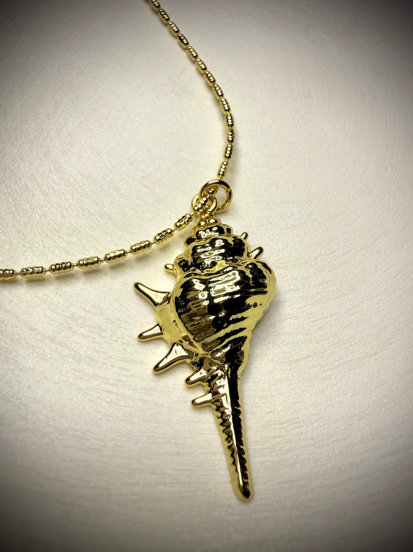 Collar Caracola Marina (Baño de Oro 18K)