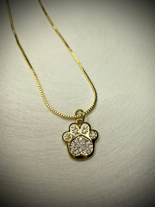 Collar Paw Shine (Baño de Oro 18K)