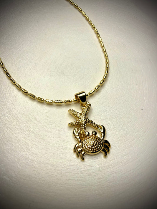 Collar Cangrejo & Estrella (Baño de Oro 18K)
