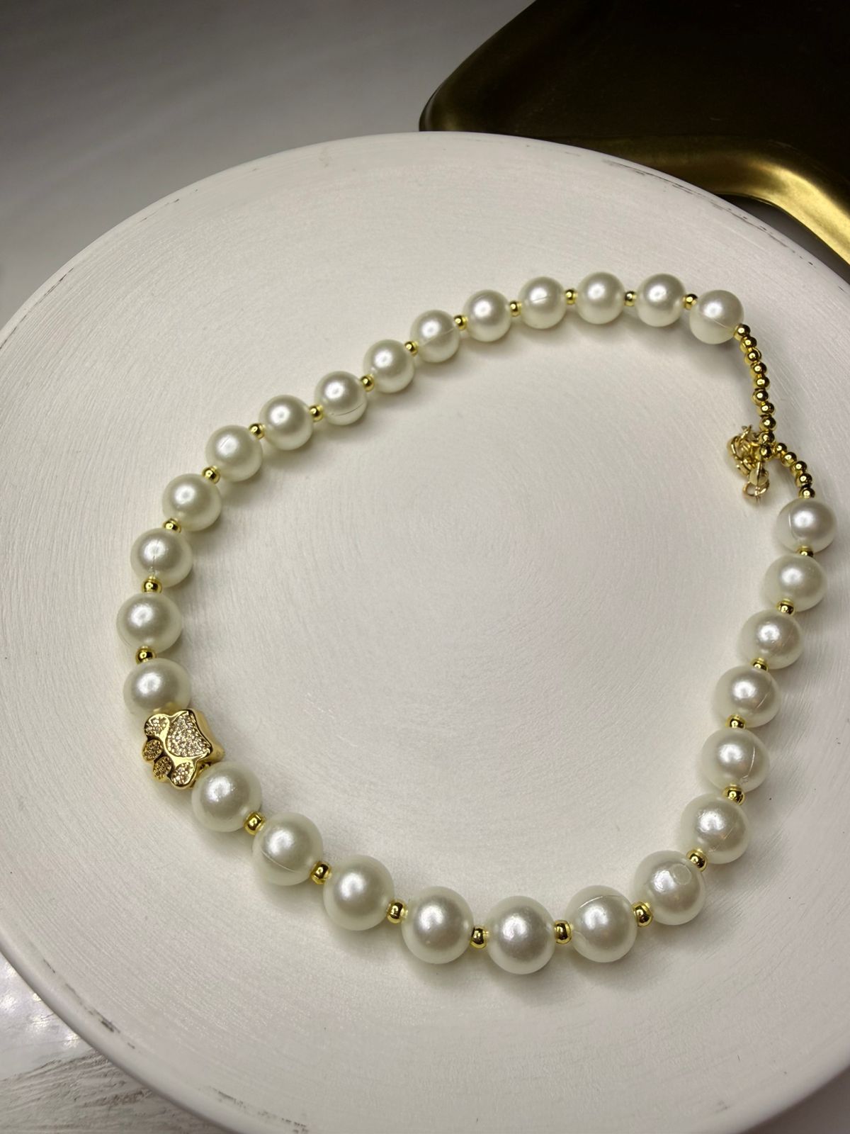 Collar Golden Paw 🐾✨